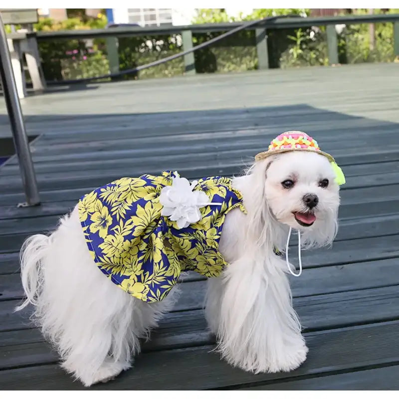 ITSDOG - Pet Honeymoon Dress - ITSDOG - Pet Clothes - Harumio