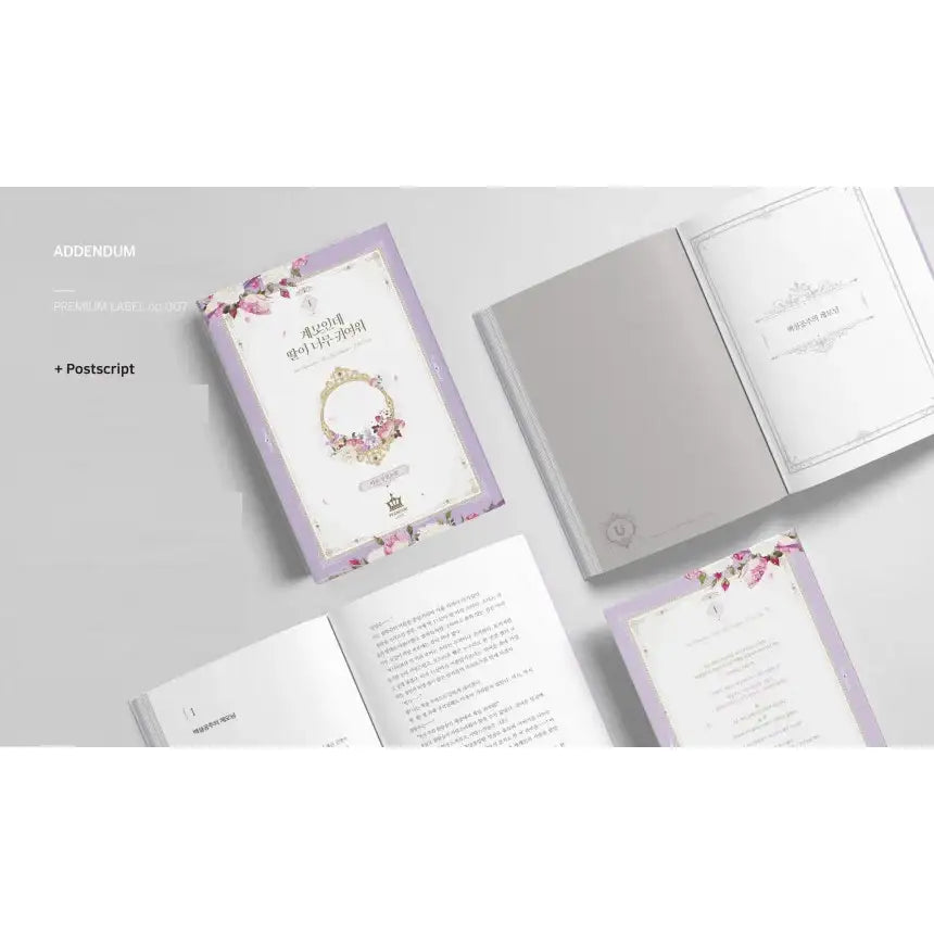 I’m Only a Stepmother, But My Daughter is Just So Cute! Limited Edition Set - Manhwa - I’m Only a Stepmother, But My Daughter is Just So Cute! - Manhwa - Harumio