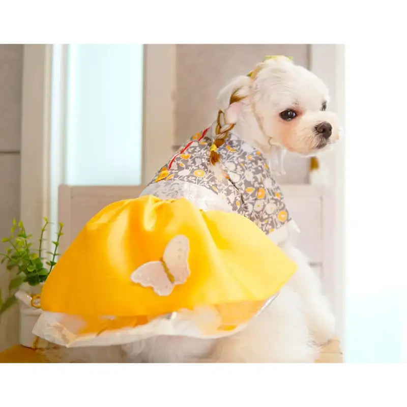ITSDOG - Pet Marigold Princess Hanbok - ITSDOG - Pet Clothes - Harumio