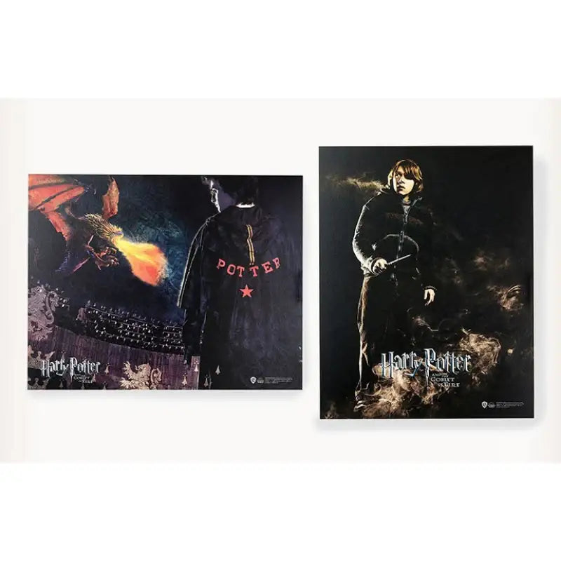CGV - Harry Potter Poster Set - CGV - Poster - Harumio