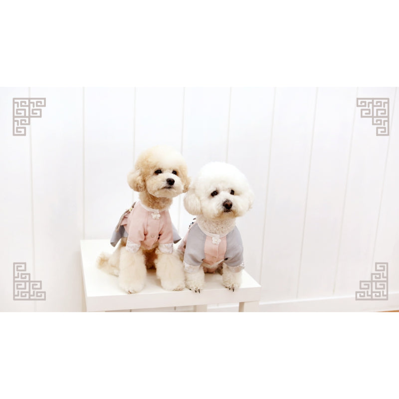 ITSDOG - Male Pet Elegant Hanbok