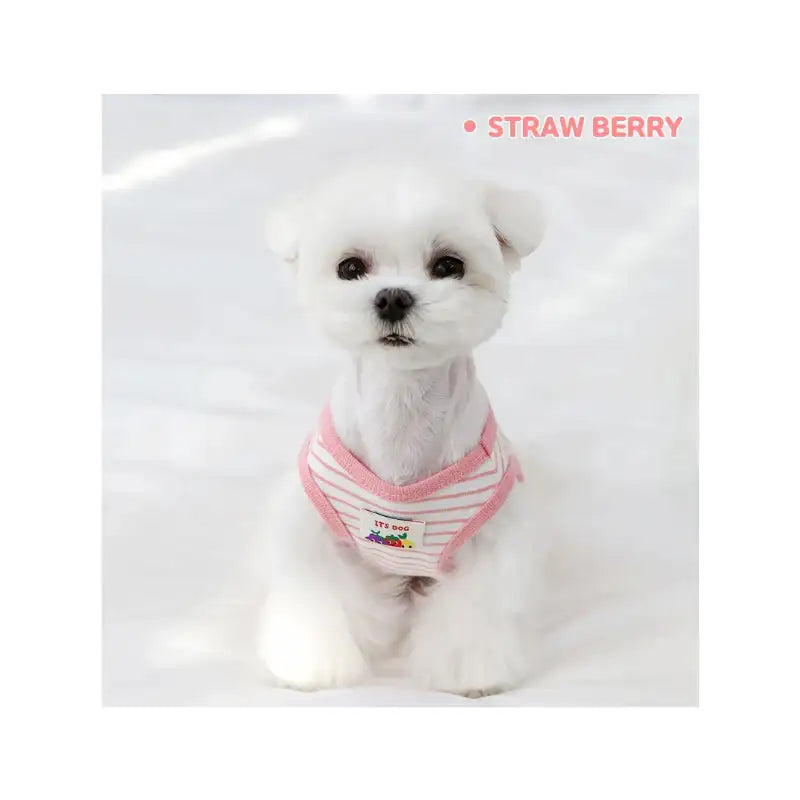 ITSDOG - Pet Jam Jam Peekaboo Sleeveless T-Shirt - ITSDOG - Pet Clothes - Harumio