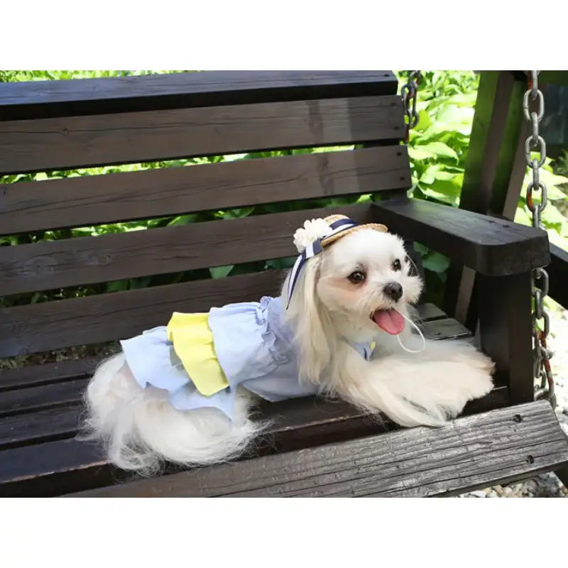 ITSDOG - Pet Linen Frill Dress - ITSDOG - Pet Clothes - Harumio