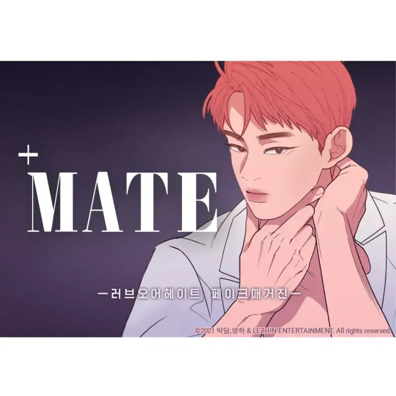 Love or Hate - Fake Magazine [+MATE] - Love or Hate - Magazine - Harumio