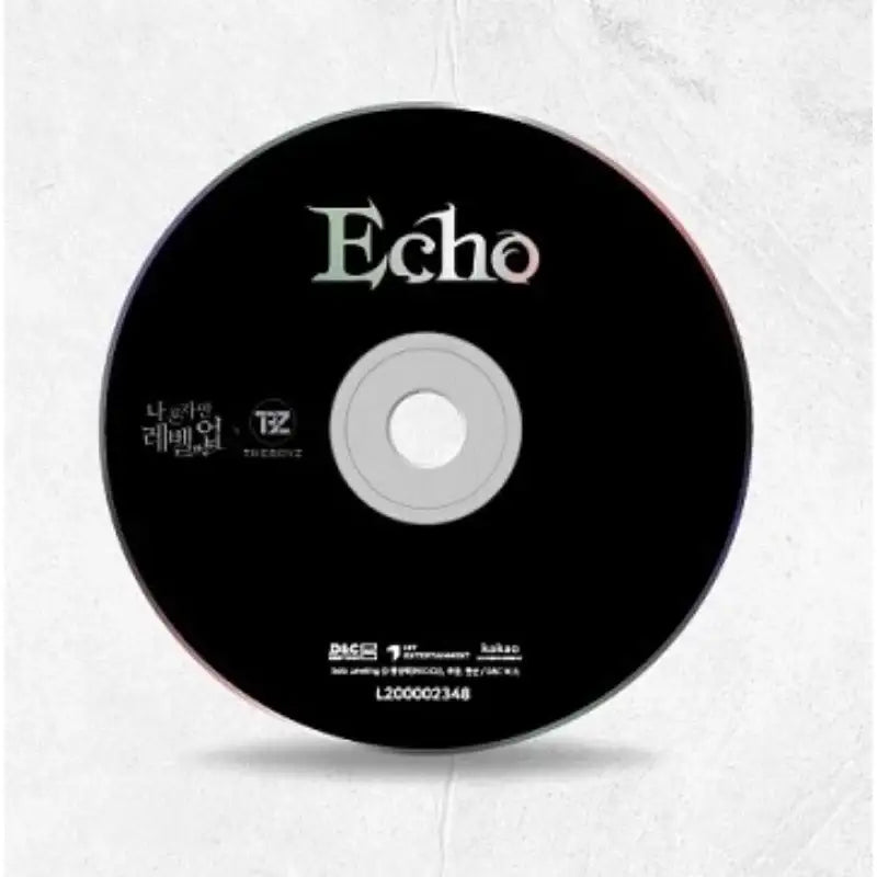 The Boyz x Only I Level Up Webtoon - Echo - OST - Kakao Entertainment - Album - Harumio