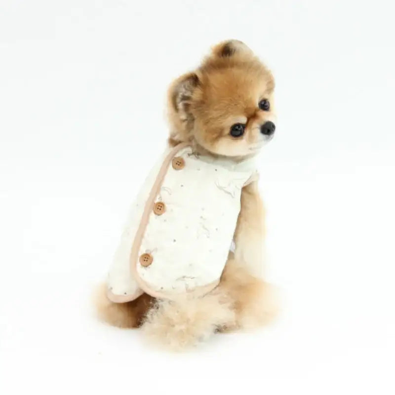 ITSDOG - Pet Organic Quilted Vest - ITSDOG - Pet Clothes - Harumio