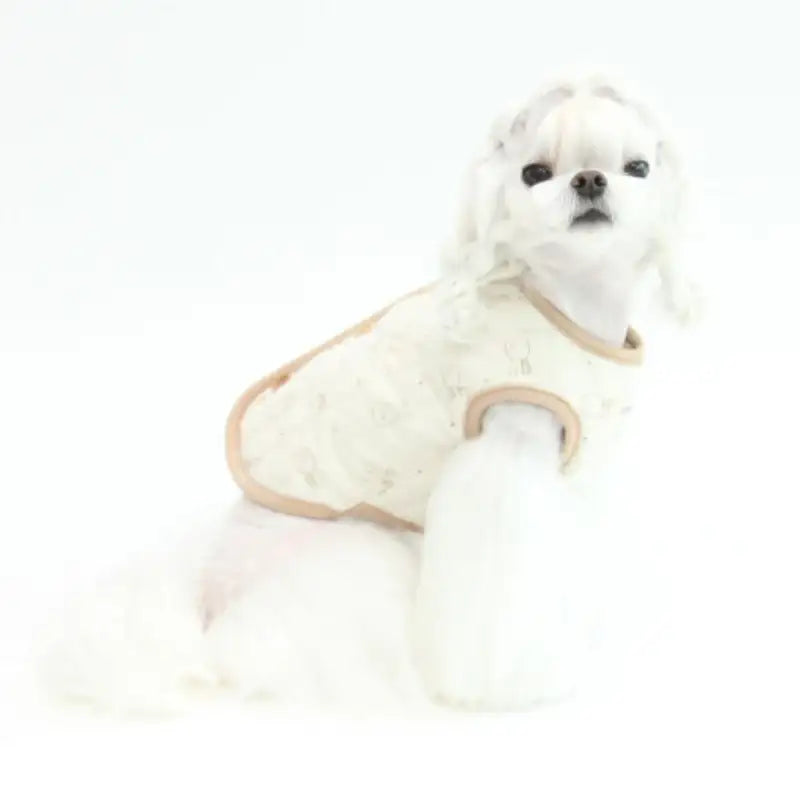 ITSDOG - Pet Organic Quilted Vest - ITSDOG - Pet Clothes - Harumio
