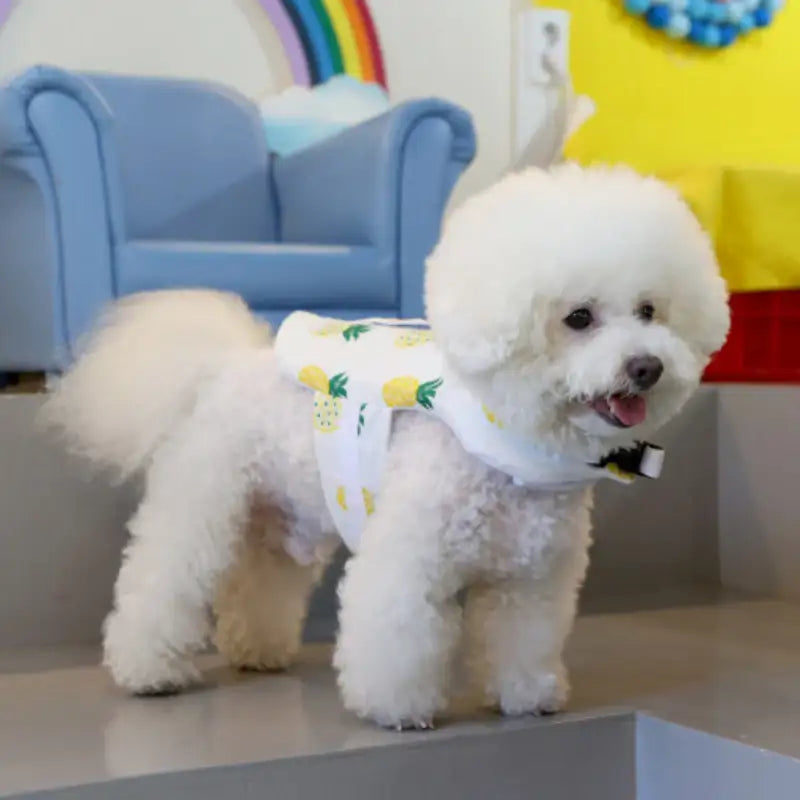ITSDOG - Pet Life Jacket - ITSDOG - Pet Clothes - Harumio