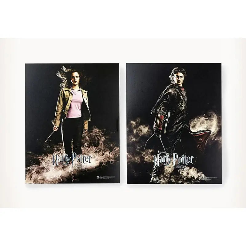 CGV - Harry Potter Poster Set - CGV - Poster - Harumio