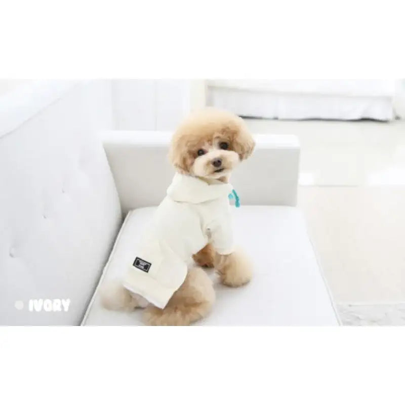 ITSDOG - Pet Macaroon Hoodie - ITSDOG - Pet Clothes - Harumio