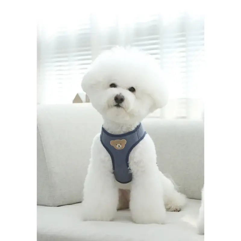 ITSDOG - Pet Harness - ITSDOG - Pet Accesories - Harumio