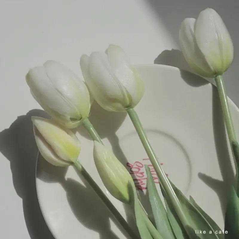 Like A Cafe - Silicon Tulip - Like A Cafe - Home & Living - Harumio