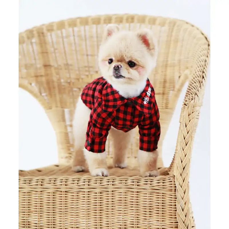 ITSDOG - Pet Gingham Checked Shirt - ITSDOG - Pet Clothes - Harumio