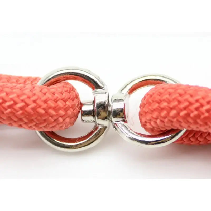 Yog!ssw - Dog P-shaped Safety Walking Leash - Jungle Monster - Pet - Harumio
