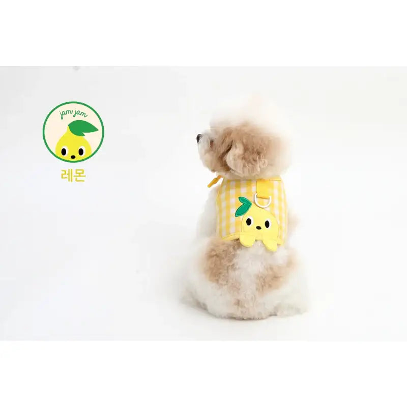 ITSDOG - Pet Jam Jam Peekaboo Harness - ITSDOG - Pet Accesories - Harumio