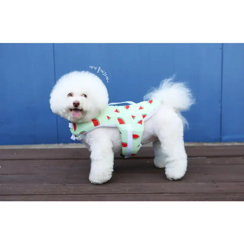 ITSDOG - Pet Life Jacket - ITSDOG - Pet Clothes - Harumio