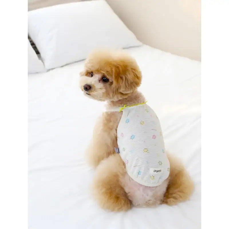 ITSDOG - Pet Organic Baby T-Shirt - ITSDOG - Pet Clothes - Harumio