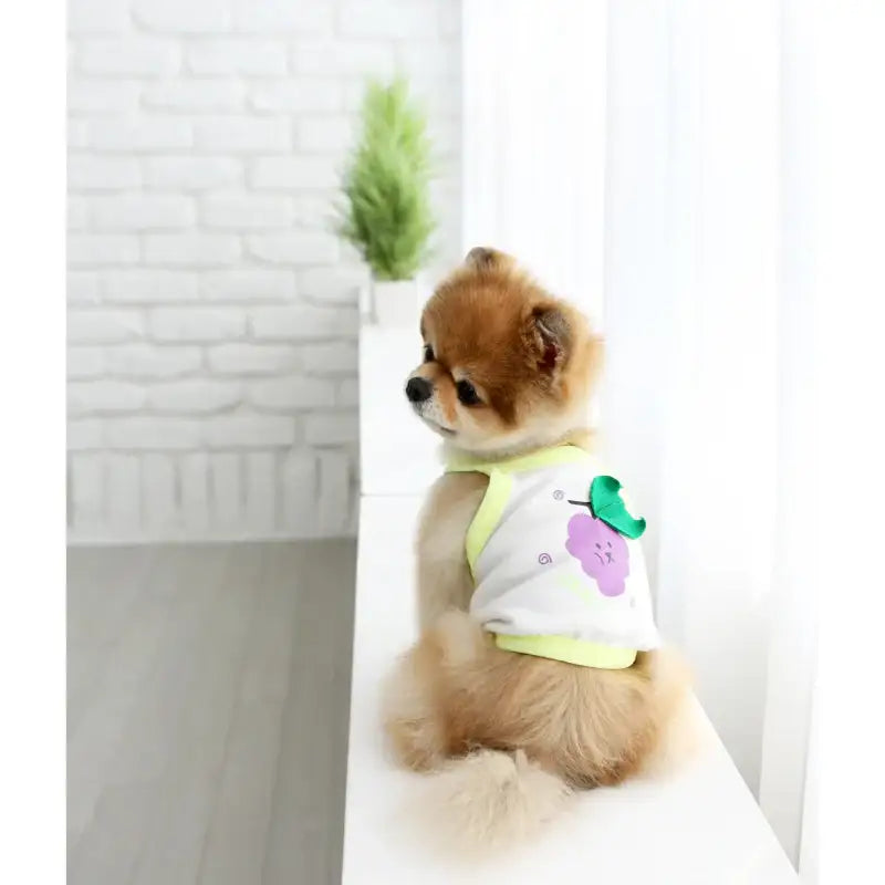 ITSDOG - Pet Fruit Sleeveless Crop Top - ITSDOG - Pet Clothes - Harumio