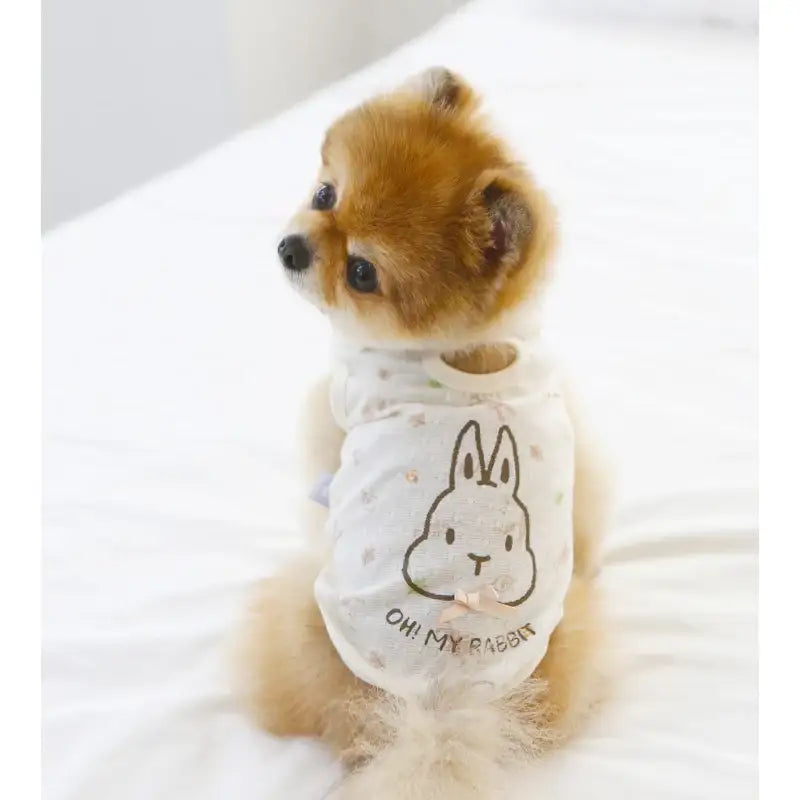ITSDOG - Pet Organic Bunny Bunny T-Shirt - ITSDOG - Pet Clothes - Harumio