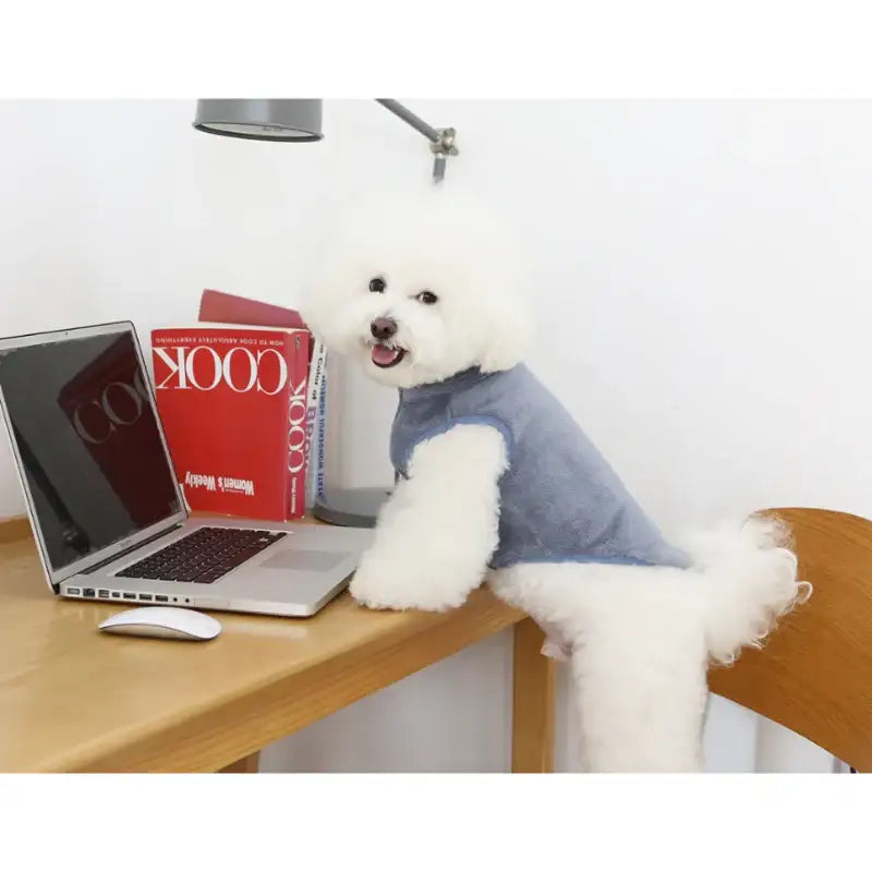ITSDOG - Pet Fluffy Fleece Winter Vest - ITSDOG - Pet Clothes - Harumio