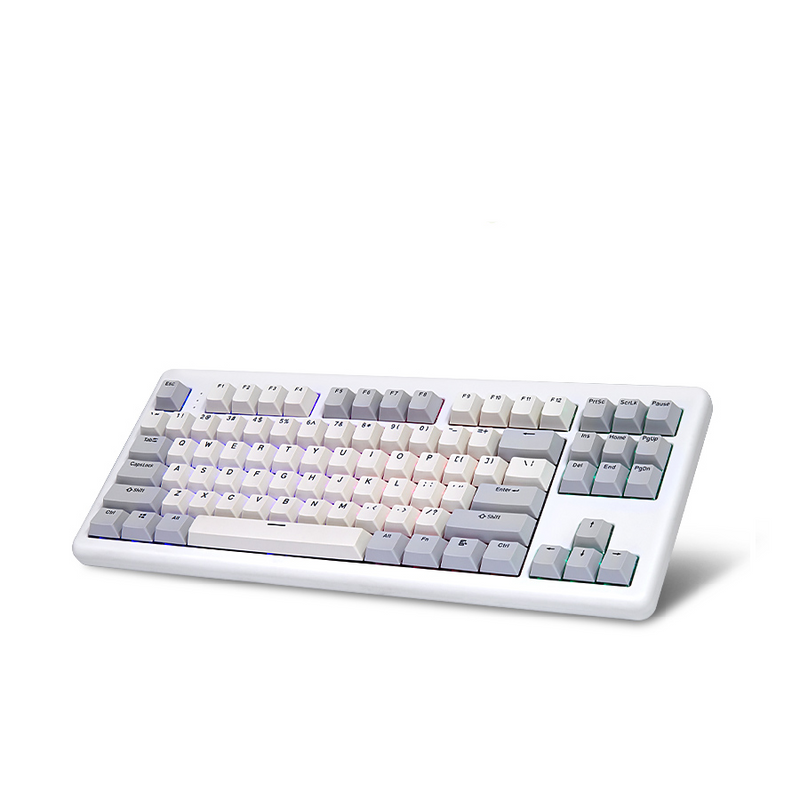 Hansung Computer x Archon - TFG ART Owner Made Mechanical Keyboard