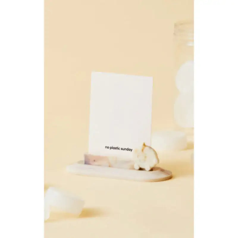BT21 - No Plastic Sunday Photo Card Holder - BT21 - Accessories - Harumio