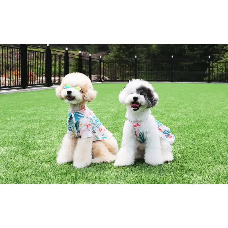 ITSDOG - Pet Sangria Shirt - ITSDOG - Pet Clothes - Harumio