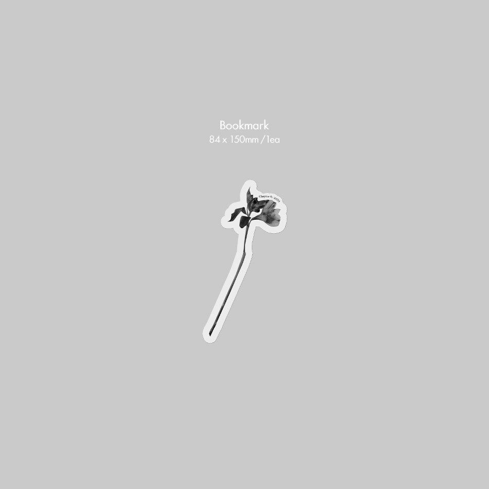 JIN YOUNG (GOT7) - Chapter 0: WITH : 1st Album