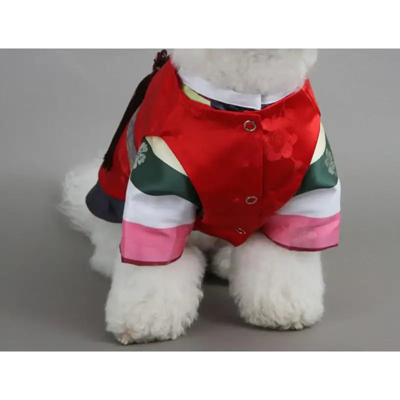 ITSDOG - Pet Colorful Striped Prince Hanbok - ITSDOG - Pet Clothes - Harumio