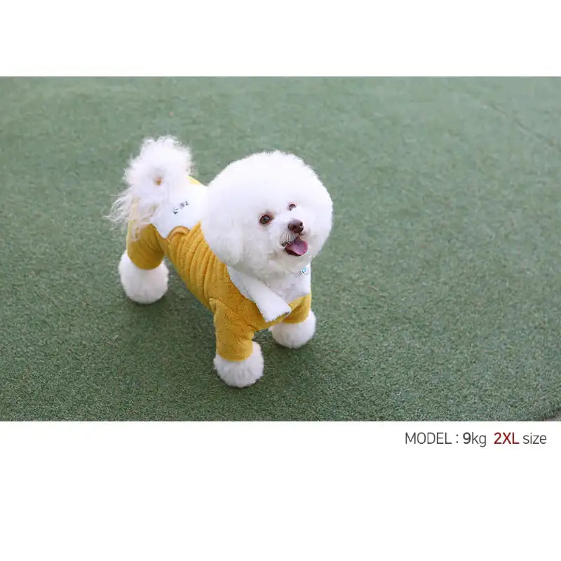 ITSDOG - Pet Two Tone Boa Warm Up Suit - ITSDOG - Pet Clothes - Harumio