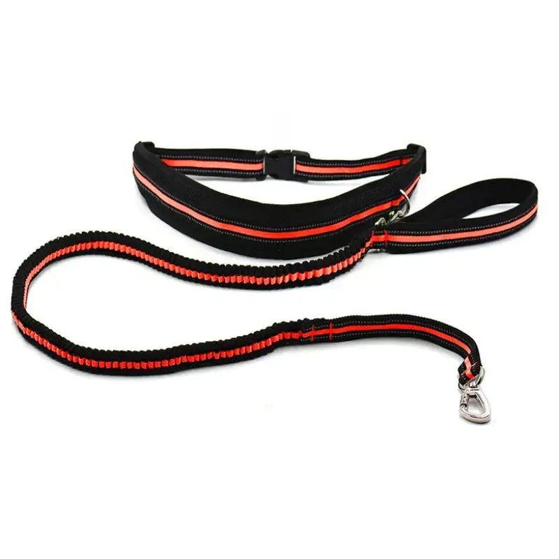 Yog!ssw - Dog Hands Free Multi Walking Set - Jungle Monster - Pet - Harumio