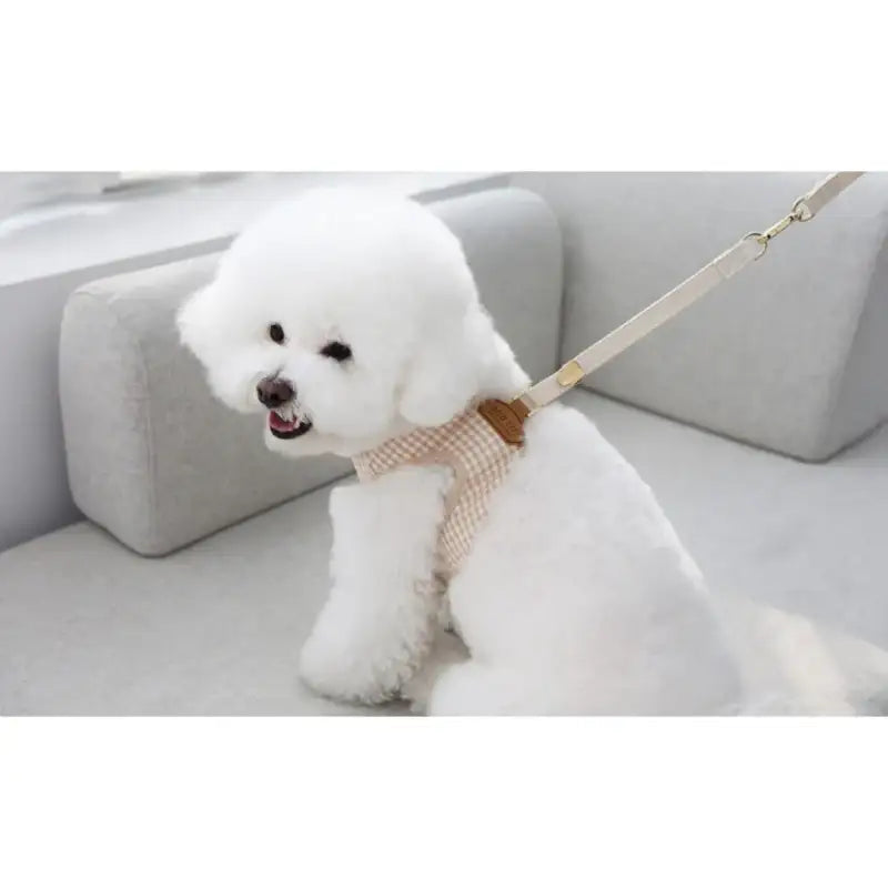 ITSDOG - Pet Organic Bunny Checked Harness (L) - ITSDOG - Pet Accesories - Harumio