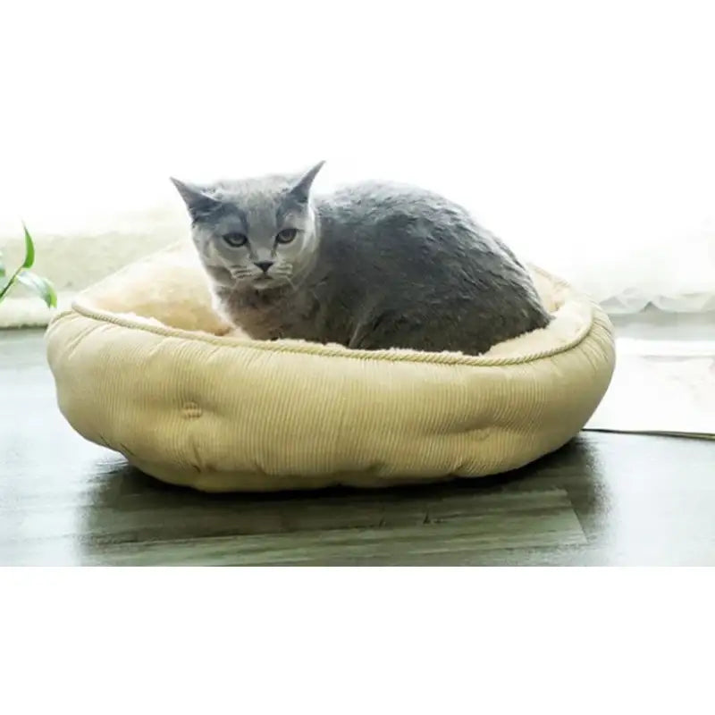 Yog!ssw - Cat Mustard Golden Cushion - Jungle Monster - Pet Cushion - Harumio
