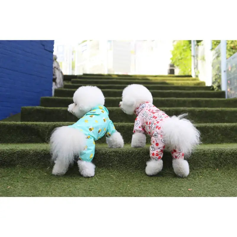 ITSDOG - Pet Pancho Raincoat - ITSDOG - Pet Clothes - Harumio