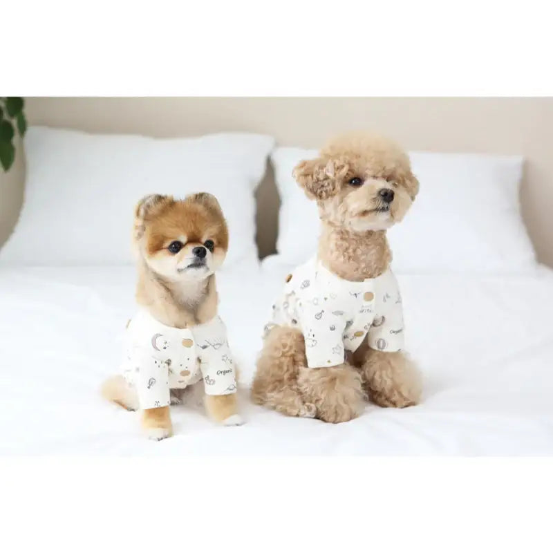 ITSDOG - Pet Organic Momoland Cardigan - ITSDOG - Pet Clothes - Harumio