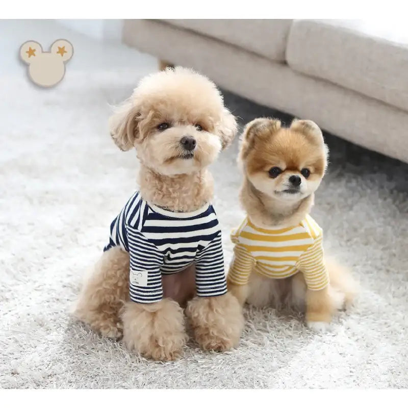 ITSDOG - Pet Star Bear T-Shirt - ITSDOG - Pet Clothes - Harumio