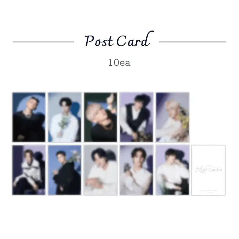 TREASURE - NIGHT GARDEN - Print Photo Memory Binder - TREASURE - Collect Books & Albums - Harumio