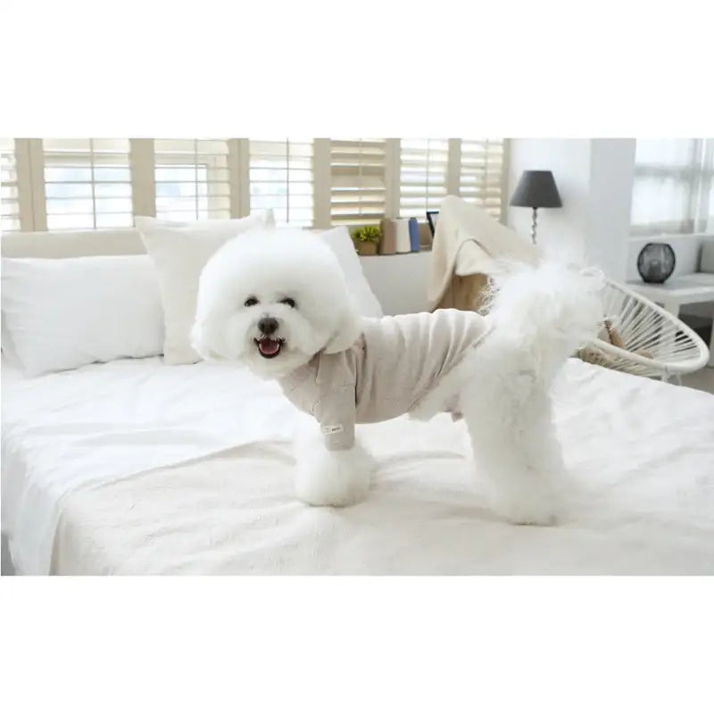 ITSDOG - Pet Fluffy Basic T-Shirt - ITSDOG - Pet Clothes - Harumio