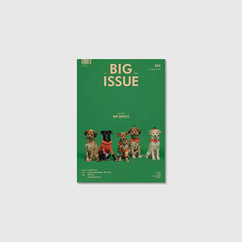 Big Issue - No.269 2022 - Magazine Cover Jeju Tangerines - Big Issue Korea - Magazine - Harumio