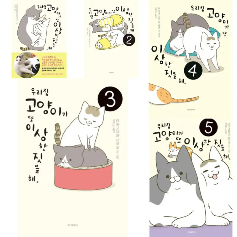 My Cat Is Doing Weird Things Again - Novel - Haksan Cultural History - Novel - Harumio
