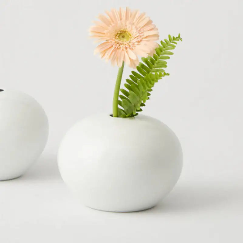 Chaora - Medium Moon Jar Vase - Chaora - Tableware - Harumio