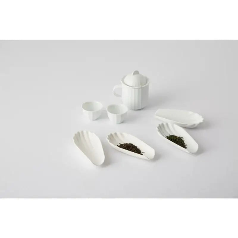 Chaora - Seashell Tea Scoop - Chaora - Tableware - Harumio