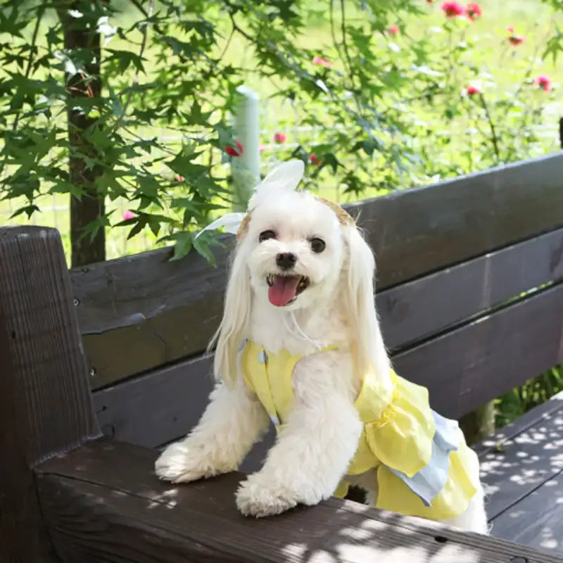 ITSDOG - Pet Linen Frill Dress - ITSDOG - Pet Clothes - Harumio
