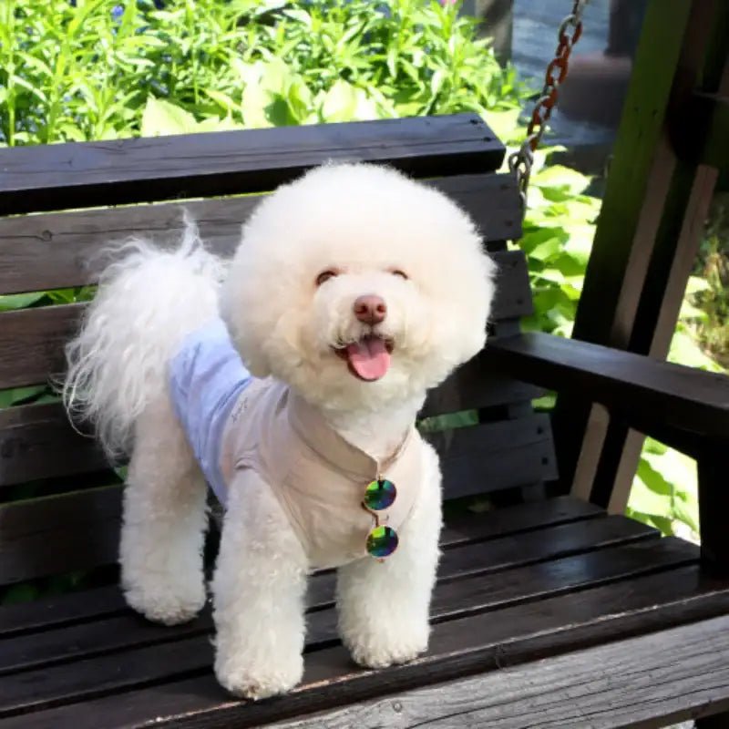 ITSDOG - Pet Linen Shirt - ITSDOG - Pet Clothes - Harumio