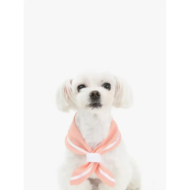 ITSDOG - Pet Linen Marine Scarf