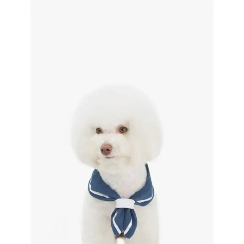 ITSDOG - Pet Linen Marine Scarf
