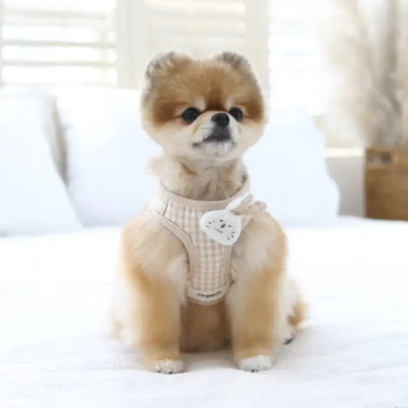 ITSDOG - Pet Organic Bunny Checked Harness (L) - ITSDOG - Pet Accesories - Harumio