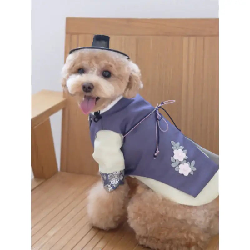 ITSDOG - Pet Sehyun Male Hanbok - ITSDOG - Pet Clothes - Harumio