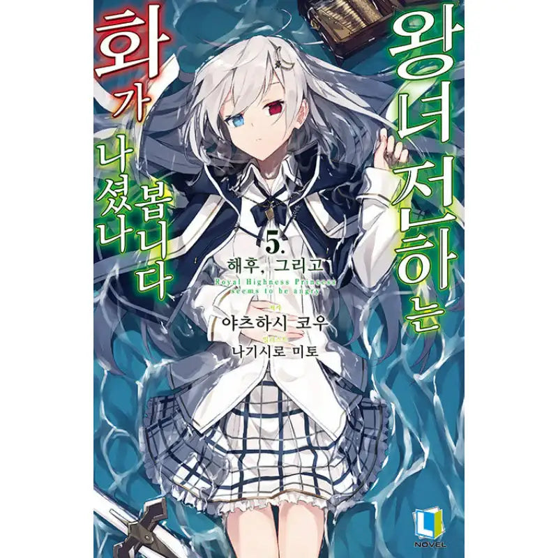 Royal Highness Princess Seems To Be Angry Light Novel - D&C Media - Light Novel - Harumio
