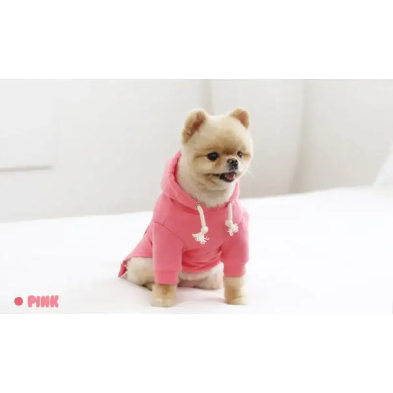 ITSDOG - Pet Macaroon Hoodie - ITSDOG - Pet Clothes - Harumio